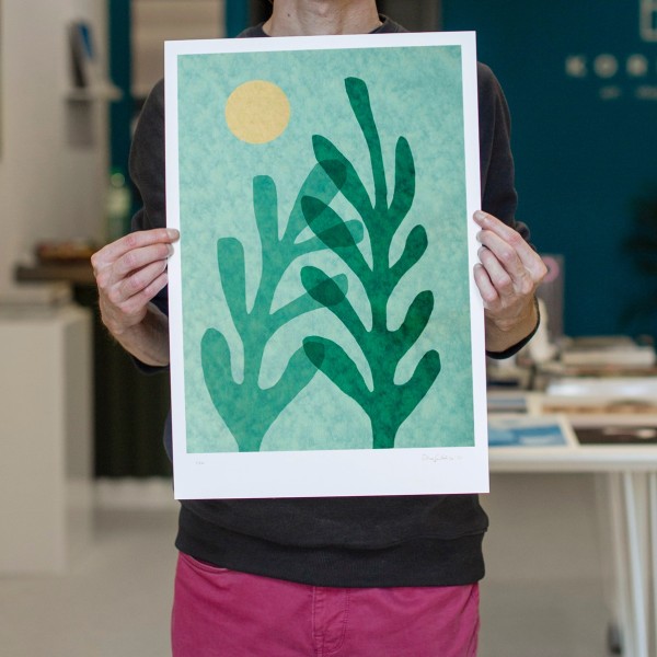 Plant 2